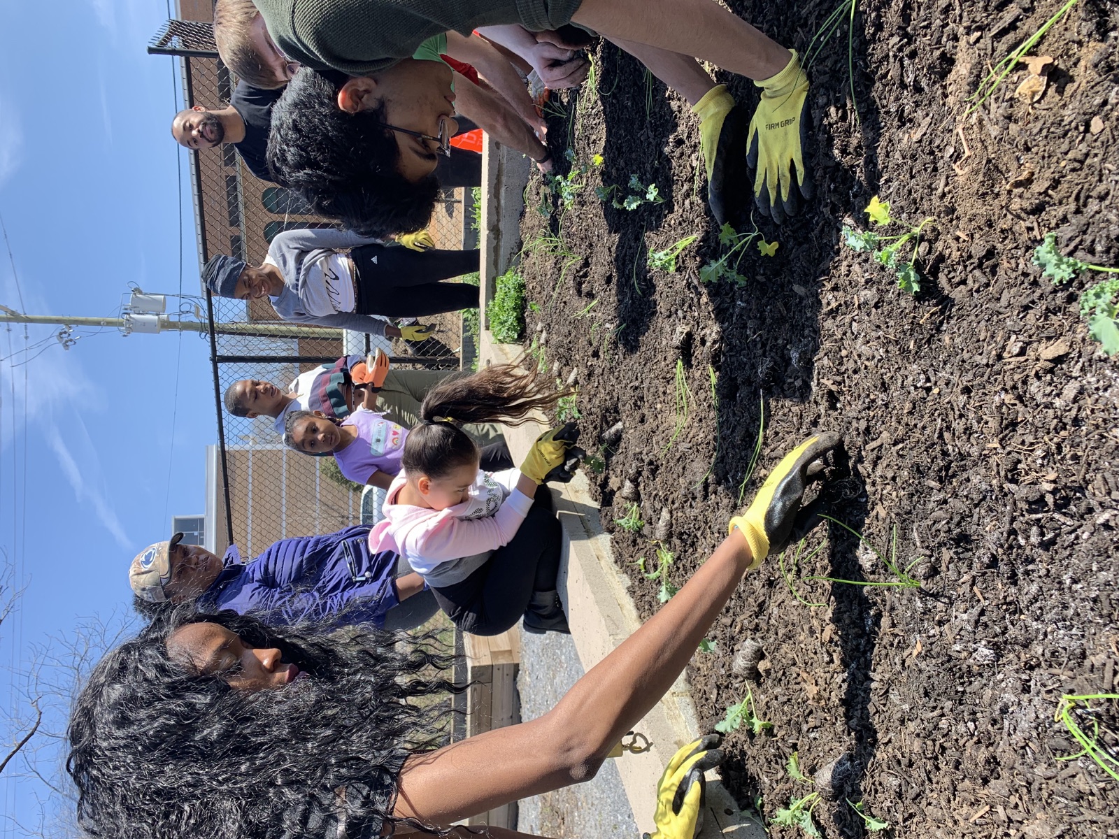 Volunteers working together in raised garden beds